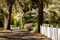 © 2012 Arnold Zann.  All Rights Reserved.  From Barefoot Contessa Photo Adventures.  For usage and fees, please e-mail BC (at) ZAPphoto (at) com or contact us at 310 Lafayette Drive, Hillsborough, NC  27278 or at 919-643-3036 before 9 p.m. east-coast time.