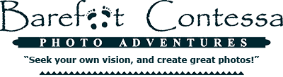 Barefoot Contessa Photo Adventures