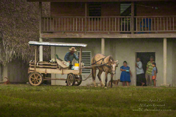 © 2011 Arnold Zann. All Rights Reserved. From Barefoot Contessa Photo Adventures. For usage and fees, please e-mail BC (at) ZAPphoto (at) com or contact us at 310 Lafayette Drive, Hillsborough, NC 27278 or at 919-643-3036 before 9 p.m. east-coast time.