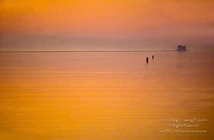© 1985 Margo Taussig Pinkerton.  All Rights Reserved.  From Barefoot Contessa Photo Adventures.  For usage and fees, please e-mail TBC (at) BCphotoadventures (dot) com or contact us at 310 Lafayette Drive, Hillsborough, NC  27278 or at 1-919-643-3036 before 9 p.m. Eastern Time, ET.