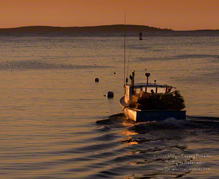 © 2015 Margo Taussig Pinkerton.  All Rights Reserved.  From Barefoot Contessa Photo Adventures.  For usage and fees, please e-mail TBC (at) BCphotoadventures (dot) com or contact us at 310 Lafayette Drive, Hillsborough, NC  27278 or at 1-919-643-3036 before 9 p.m. east-coast time.
