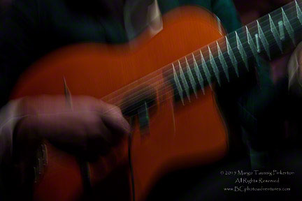 © 2015 Margo Taussig Pinkerton.  All Rights Reserved.  From Barefoot Contessa Photo Adventures.  For usage and fees, please e-mail TBC (at) BCphotoadventures (dot) com or contact us at 310 Lafayette Drive, Hillsborough, NC  27278 or at 919-643-3036 before 9 p.m. Eastern Time, ET.