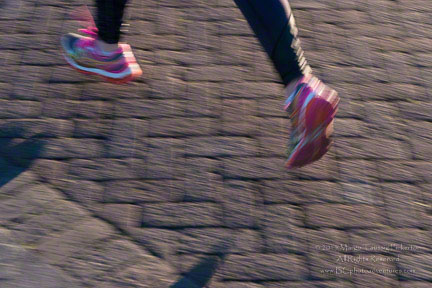 © 2015 Margo Taussig Pinkerton.  All Rights Reserved.  From Barefoot Contessa Photo Adventures.  For usage and fees, please e-mail TBC (at) BCphotoadventures (dot) com or contact us at 310 Lafayette Drive, Hillsborough, NC  27278 or at 919-643-3036 before 9 p.m. Eastern Time, ET.