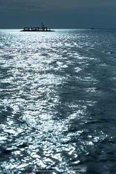 © 2014 Margo Taussig Pinkerton. All Rights Reserved. From Barefoot Contessa Photo Adventures. For usage and fees, please e-mail TBC (at) BCphotoadventures (dot) com or contact us at 310 Lafayette Drive, Hillsborough, NC 27278 or at 1-919-643-3036 before 9 p.m. Eastern Time, ET. My Shack, Different Light