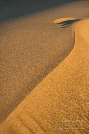 © 2014 Margo Taussig Pinkerton. All Rights Reserved.  For usage and fees, contact us at 310 Lafayette Drive, Hillsborough, NC  27278.  919-643-3036 before 9 pm east coast USA, GMT-5, or by e-mail at TBC (at) BCphotoadventures (dot) com.