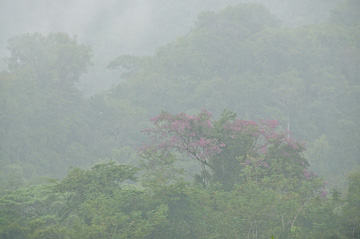 © 2011 Joyce Pearson.  All Rights Reserved.  From Barefoot Contessa Photo Adventures.
