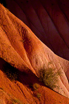 © 2010 Margo Taussig Pinkerton.  All Rights Reserved.  From Barefoot Contessa Photo Adventures' Zion  Bryce Canyon National Parks.  For usage and fees, please e-mail BC (at) ZAPphoto (dot) com or contact us at 310 Lafayette Drive, Hillsborough, NC  27278 or at 919-643-3036 before 9 p.m. east-coast time.