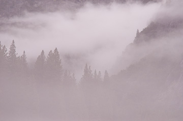 © 2010 Margo Taussig Pinkerton.  All Rights Reserved.  From Barefoot Contessa Photo Adventures' Yosemite National Park photo workshop