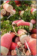 © 2024 Margo Taussig Pinkerton.  All Rights Reserved.  From Barefoot Contessa Photo Adventures.  For usage and fees, please e-mail TBC (at) BCphotoadventures (dot) com or contact us at 310 Lafayette Drive, Hillsborough, NC  27278 or at 1-919-643-3036 before 9 p.m. Eastern Time, ET. travel photography workshops, digital photography, landscapes, street photography, photo workshops, travel photography, travel adventures, Barefoot Contessa Photo Adventures