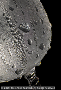 © 2025 Rose Anne Palmieri.  All Rights Reserved. From Barefoot Contessa Photo Adventures.  For usage and fees, please e-mail TBC (at) BCphotoadventures (dot) com or contact us at 310 Lafayette Drive, Hillsborough, NC  27278 or at 1-919-643-3036 before 9 p.m. Eastern Time, ET, and I will put you in  touch with the artist. travel photography workshops, digital photography, landscapes, street photography, photo workshops, photography tours usa, travel photography, travel adventures, photo tours, Barefoot Contessa Photo Adventures