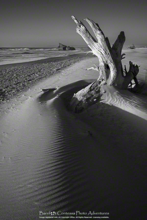 © 2016 Margo Taussig Pinkerton.  All Rights Reserved.  From Barefoot Contessa Photo Adventures.  For usage and fees, please e-mail TBC (at) BCphotoadventures (dot) com or contact me at 310 Lafayette Drive, Hillsborough, NC  27278 or at 1-919-643-3036 before 9 p.m. Eastern Time, ET. travel photography workshops, digital photography, landscapes, street photography, photo workshops, travel photography, travel adventures, oregon coast, Barefoot Contessa Photo Adventures