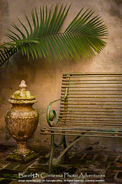 © 2015 Margo Taussig Pinkerton.  All Rights Reserved.  From Barefoot Contessa Photo Adventures.  For usage and fees, please e-mail TBC (at) BCphotoadventures (dot) com or contact us at 310 Lafayette Drive, Hillsborough, NC  27278 or at 1-919-643-3036 before 9 p.m. Eastern Time, ET.