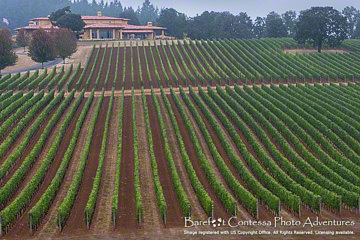 © 2019 Margo Taussig Pinkerton. All Rights Reserved. From Barefoot Contessa Photo Adventures. For usage and fees, please e-mail TBC (at) BCphotoadventures (dot) com or contact us at 310 Lafayette Drive, Hillsborough, NC 27278 or at 919-643-3036 before 9 p.m. Eastern Time, ET. travel psashayshotography workshops, digital photography, landscapes, street photography, photo workshops, travel photography, travel adventures, Barefoot Contessa Photo Adventures