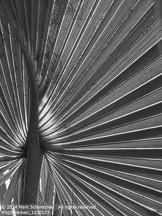 Charleston | Student Photos