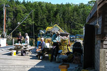 Maine Coast | Student Candids