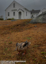 Monhegan Island | Student Photos
