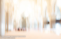 Morocco | Student Photos