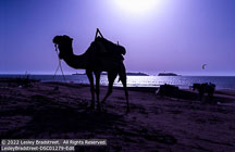 Morocco | Student Photos Morocco | Student Photos