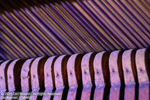 New Orleans | Student Photos