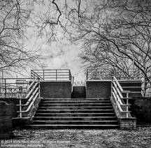 Online 2022 | Student Photos