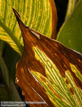 Online 2022 | Student Photos