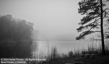 Online 2022 | Student Photos