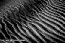 Outer Banks Fall | Student Photos