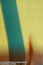 Outer Banks Fall | Student Photos