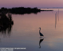 Outer Banks Fall | Student Photos