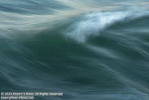 Outer Banks Fall | Student Photos