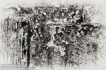 Private Workshops | Student Photos