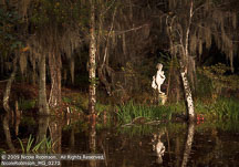 Private Workshops | Student Photos