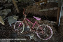 Tobacco | Student Photos