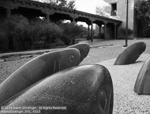 Albuquerque-S. Fé | Student Photos
