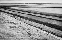 Barge Provence | Student Photos