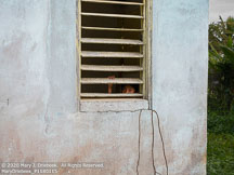 Belize | Student Photos