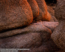 Joshua Tree | Student Photos