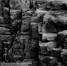 New England Fall | Student Photos