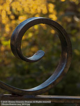 New England Fall | Student Photos