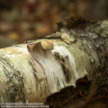 New England Fall | Student Photos