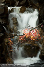 New England Fall | Student Photos New England Fall | Student Photos