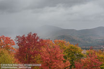 New England Fall | Student Photos