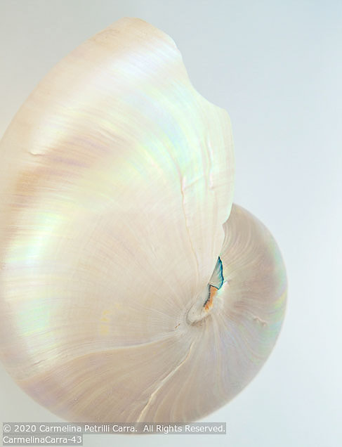 Online 2020 | Student Photos