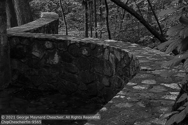 Online 2021 | Student Photos