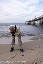 Outer Banks Spring | Student Candids