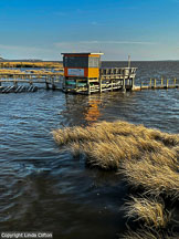 Outer Banks Spring | Student Photos
