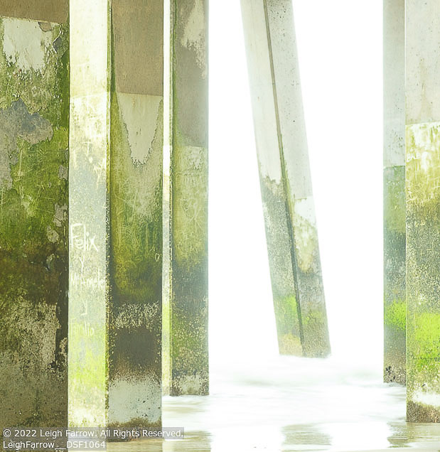 Outer Banks Winter | Student Photos