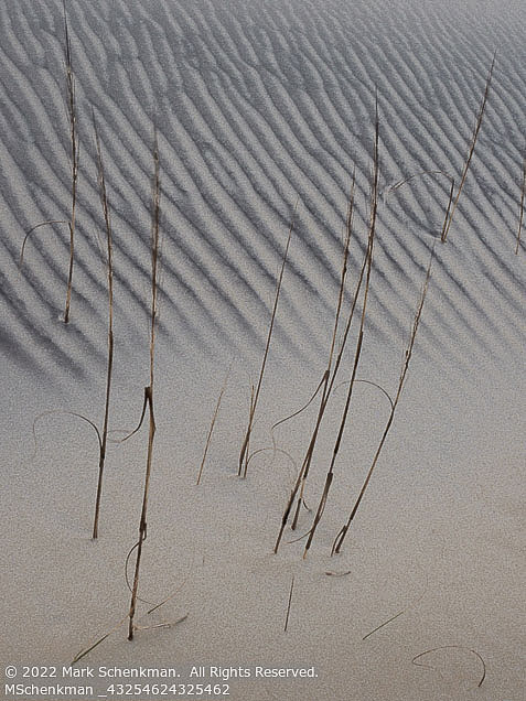 Outer Banks Winter | Student Photos