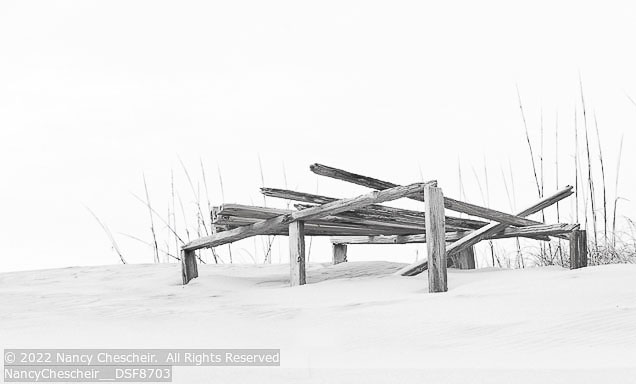 Outer Banks Winter | Student Photos