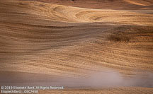 Palouse | Student Photos